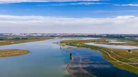 水产品富硒认证(富硒农副产品特点是)-硒宝网