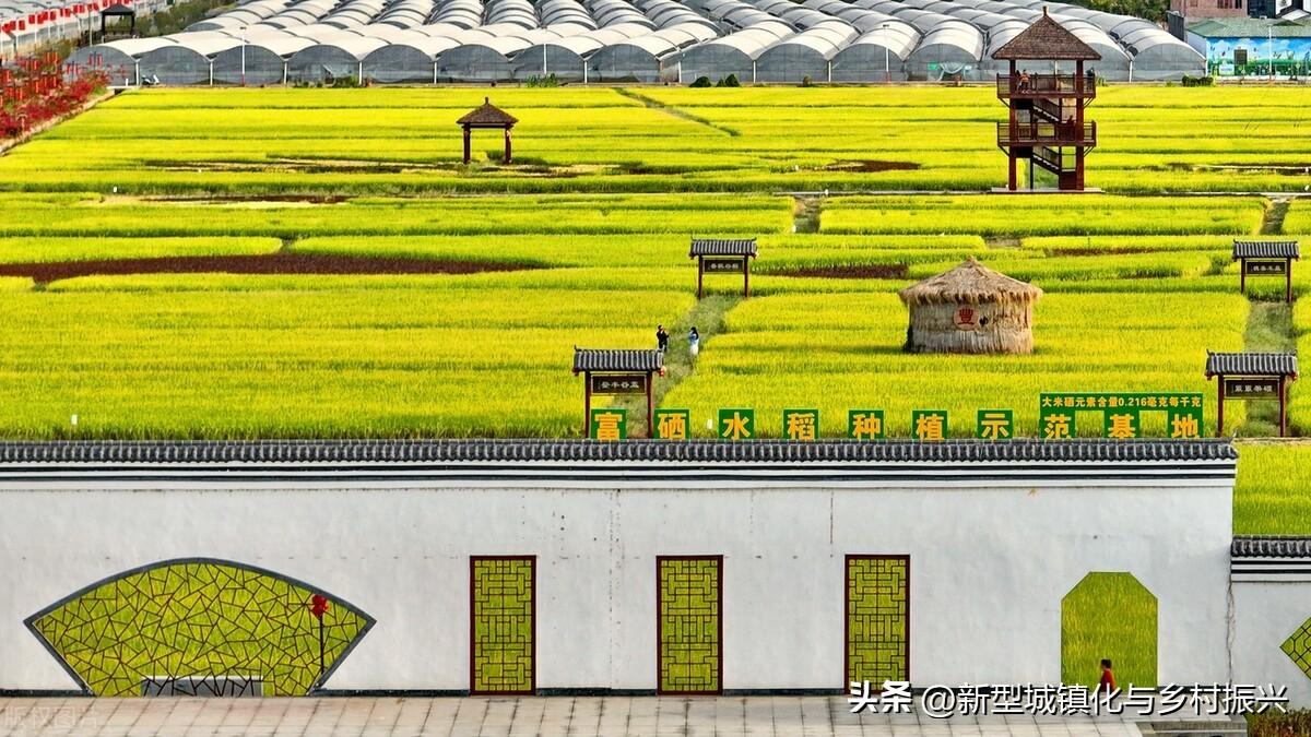 富硒绿色农产品(富硒生态农业)-硒宝网