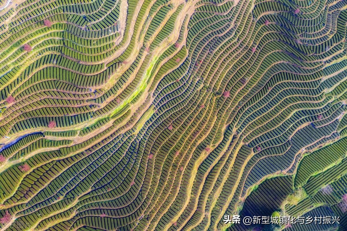 富硒绿色农产品(富硒生态农业)-硒宝网