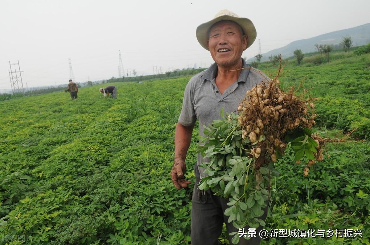 富硒绿色农产品(富硒生态农业)-硒宝网