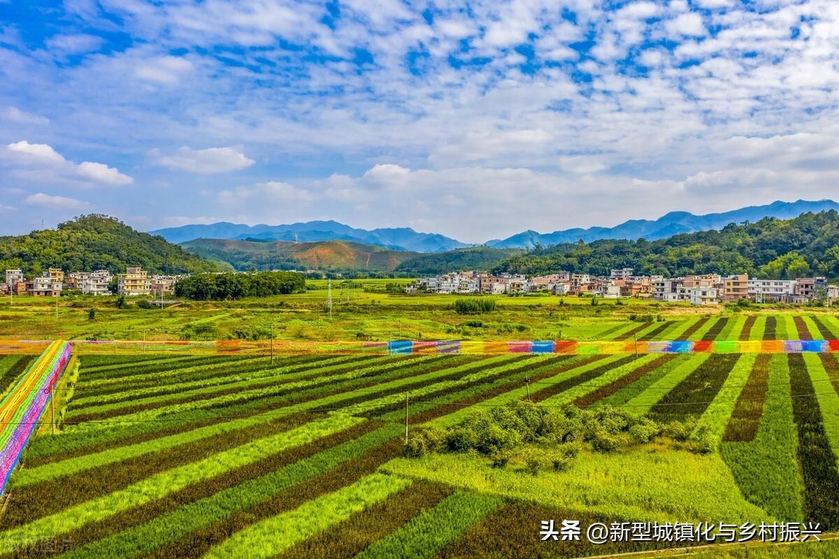 富硒绿色农产品(富硒生态农业)-硒宝网