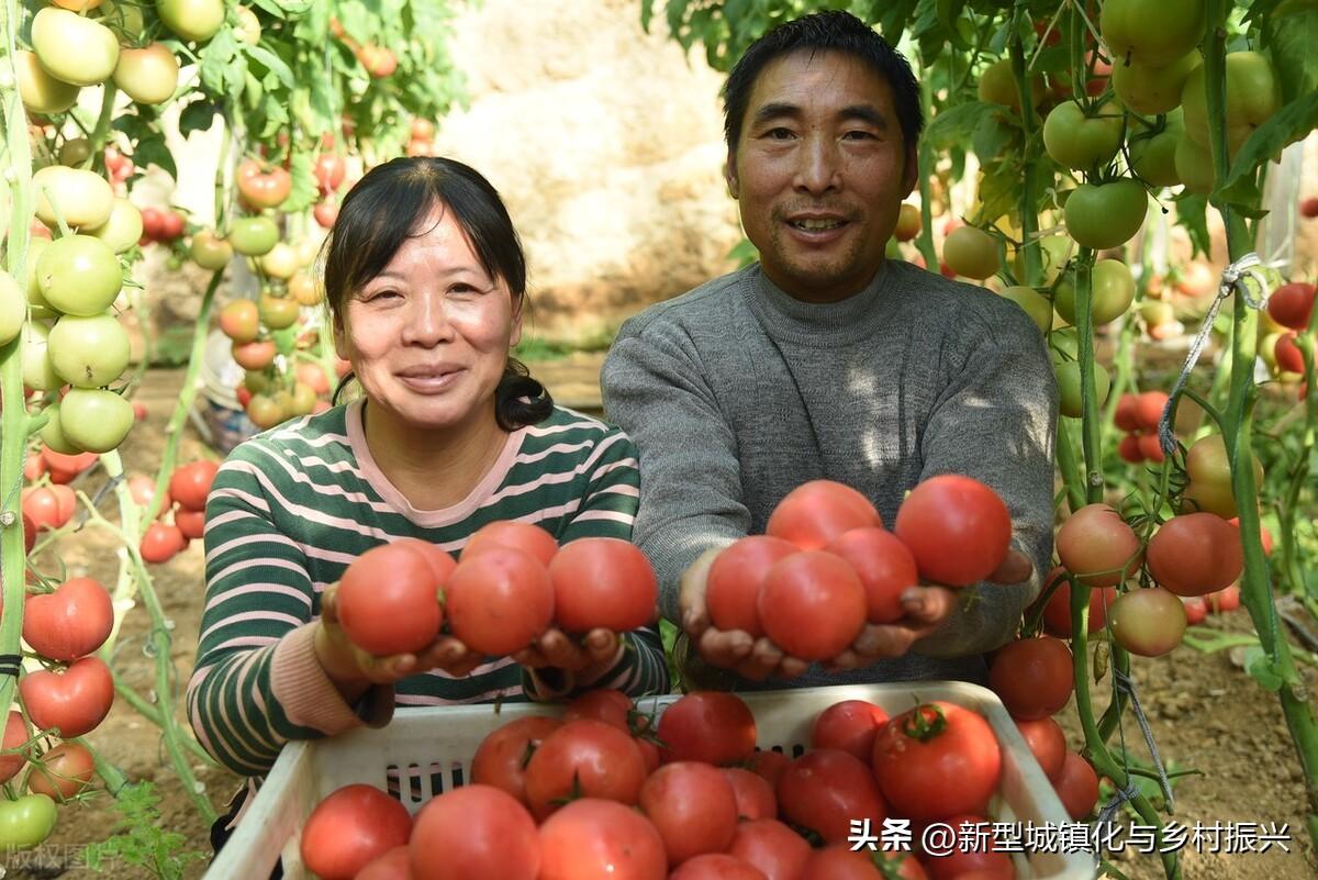 富硒绿色农产品(富硒生态农业)-硒宝网
