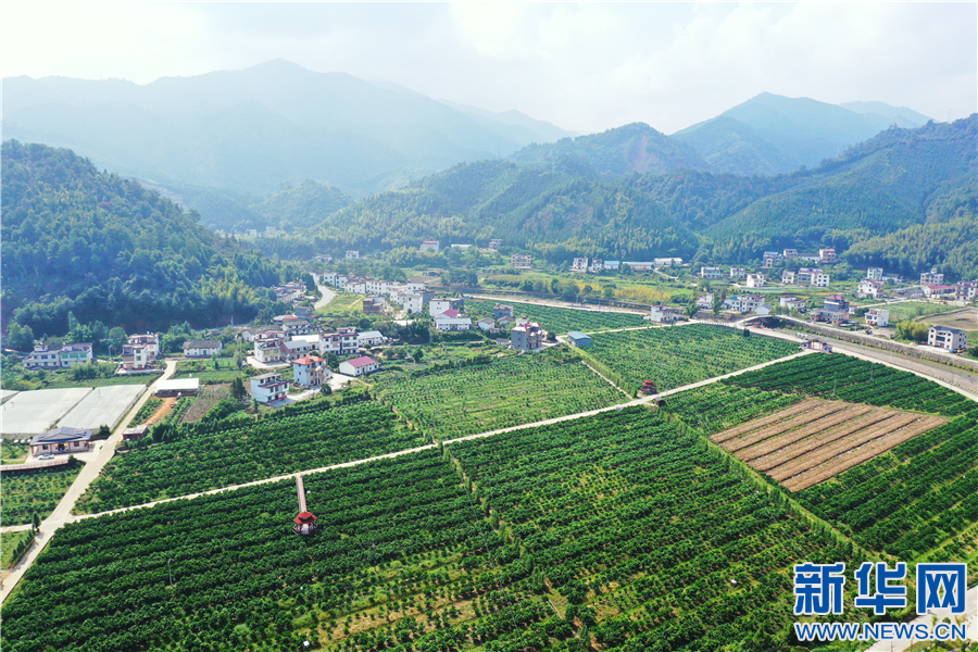 富硒农产品解释(富硒功能农业)-硒宝网