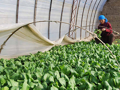 水产品富硒酵母(水产酵母品富硒有哪些)-硒宝网