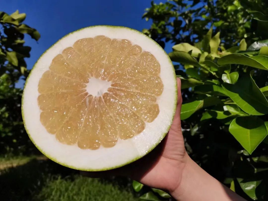 澄迈农产品富硒（澄迈长寿之乡富硒怎么来的）-硒宝网