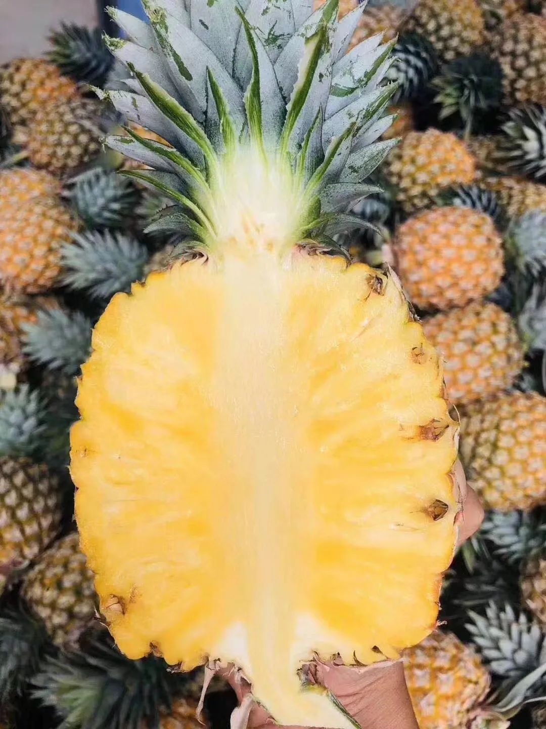 澄迈农产品富硒（澄迈长寿之乡富硒怎么来的）-硒宝网