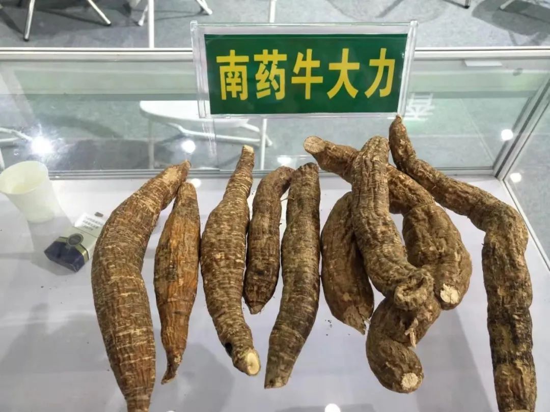 澄迈农产品富硒（澄迈长寿之乡富硒怎么来的）-硒宝网