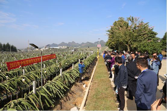 富硒农产品解释(什么叫富硒农产品)-硒宝网