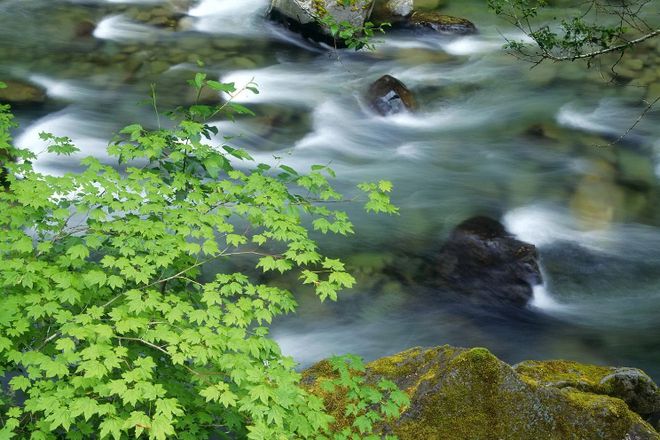 仙寓山富硒产品(仙寓山富硒村农家乐)-硒宝网