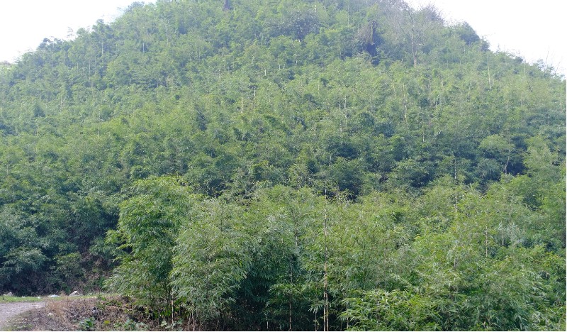 富硒农产品解释(富硒农产品与普通农产品差别)-硒宝网