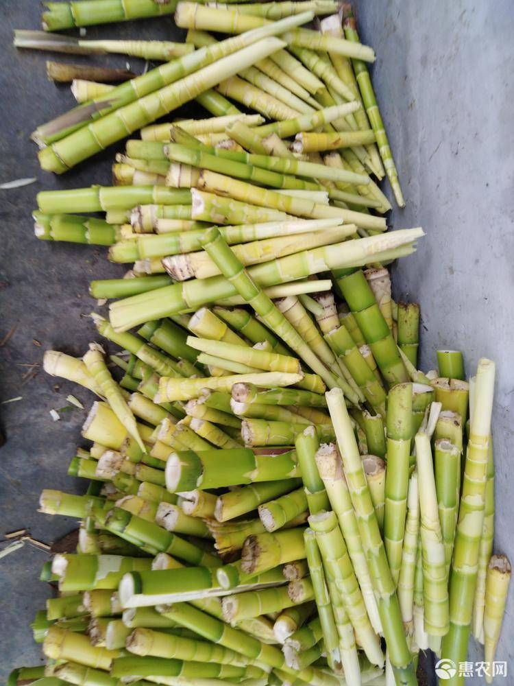 富硒农产品解释(富硒农产品与普通农产品差别)-硒宝网