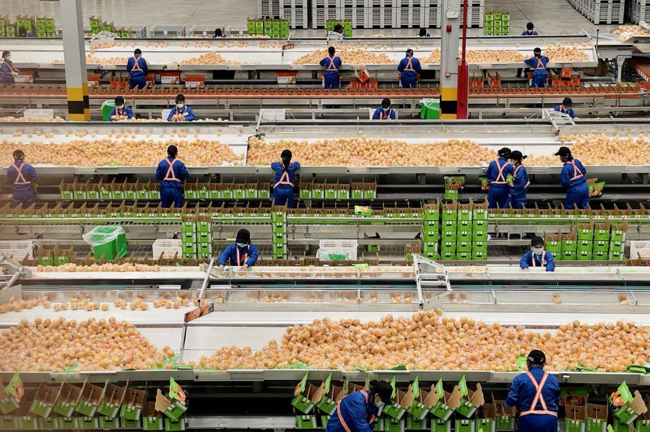 富硒农产品赣州(赣州富硒蔬菜)-硒宝网