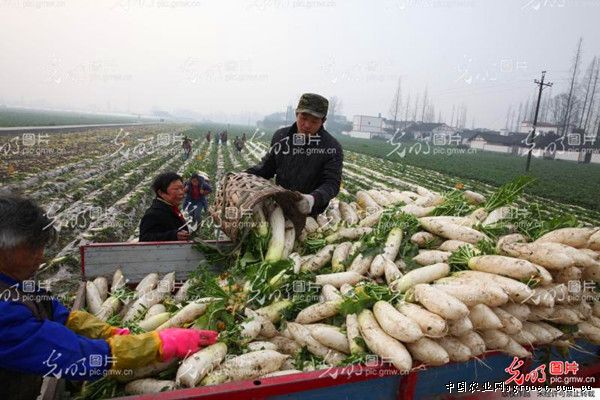 杨氏富硒农产品（富硒产品有限公司）-硒宝网