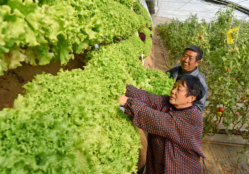 富硒产品经销商(富硒农产品销售平台)-硒宝网