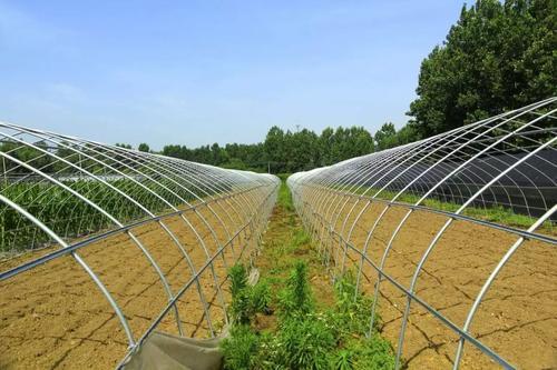 富硒产品经销商(富硒农产品销售平台)-硒宝网