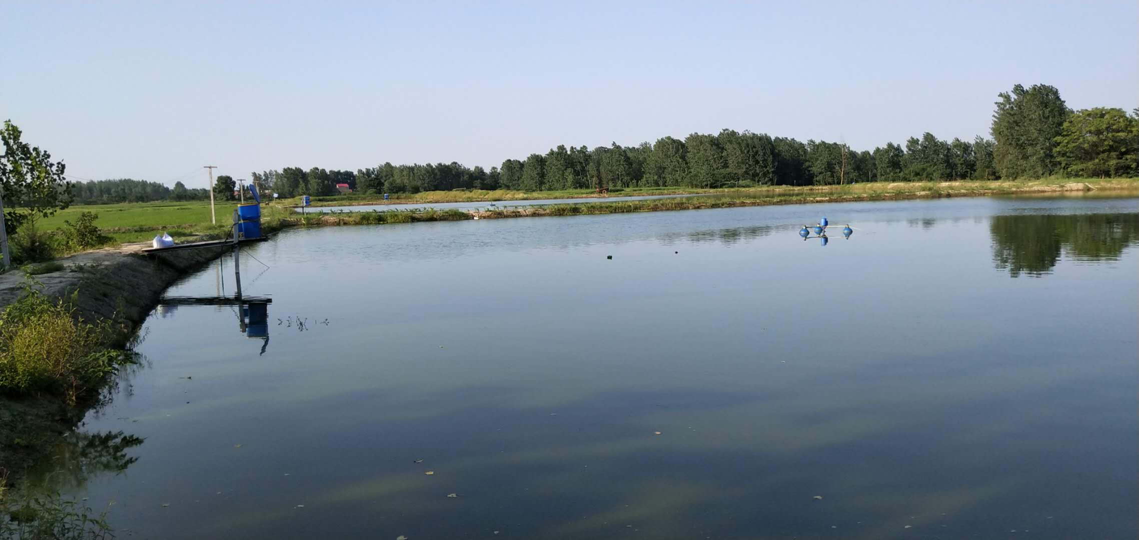 富硒产品经销商(富硒农产品销售平台)-硒宝网