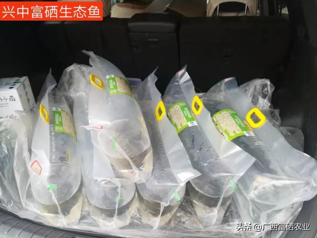 富硒鱼产品价格(鱼价格富硒产品有哪些)-硒宝网