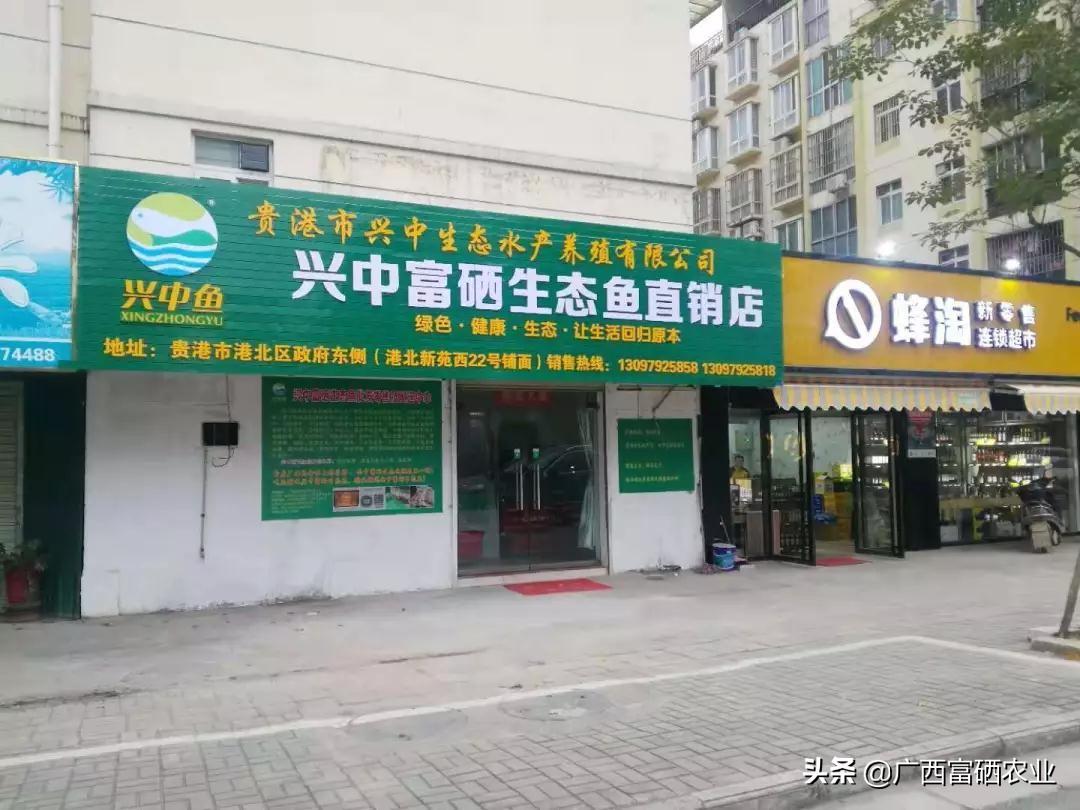 富硒鱼产品价格(鱼价格富硒产品有哪些)-硒宝网