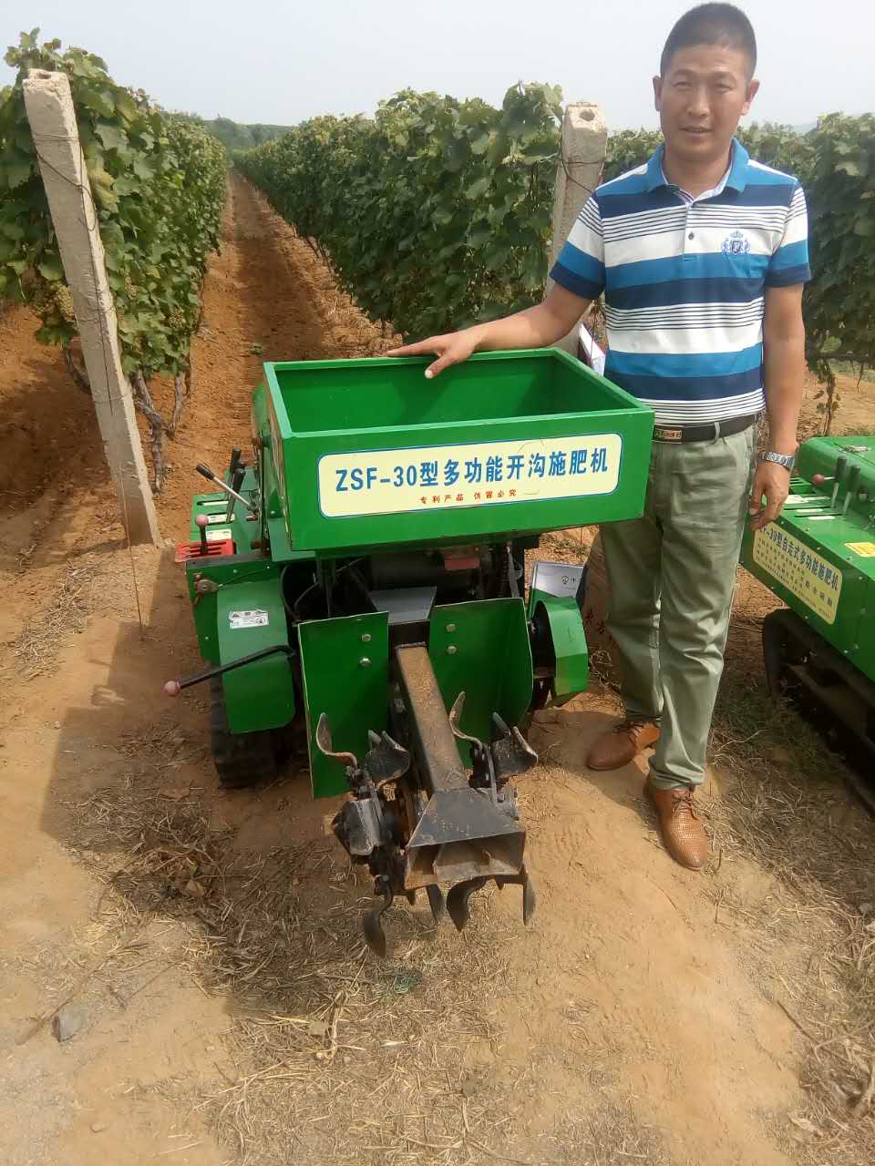 富硒农产品草莓(农草莓富硒产品图片大全)-硒宝网