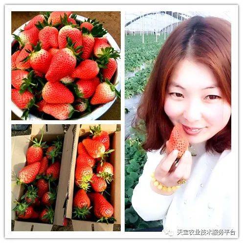 杨氏富硒农产品(生产富硒产品)-硒宝网