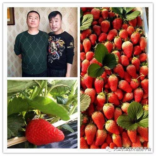 杨氏富硒农产品(生产富硒产品)-硒宝网