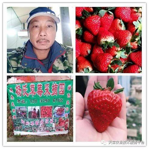 杨氏富硒农产品(生产富硒产品)-硒宝网