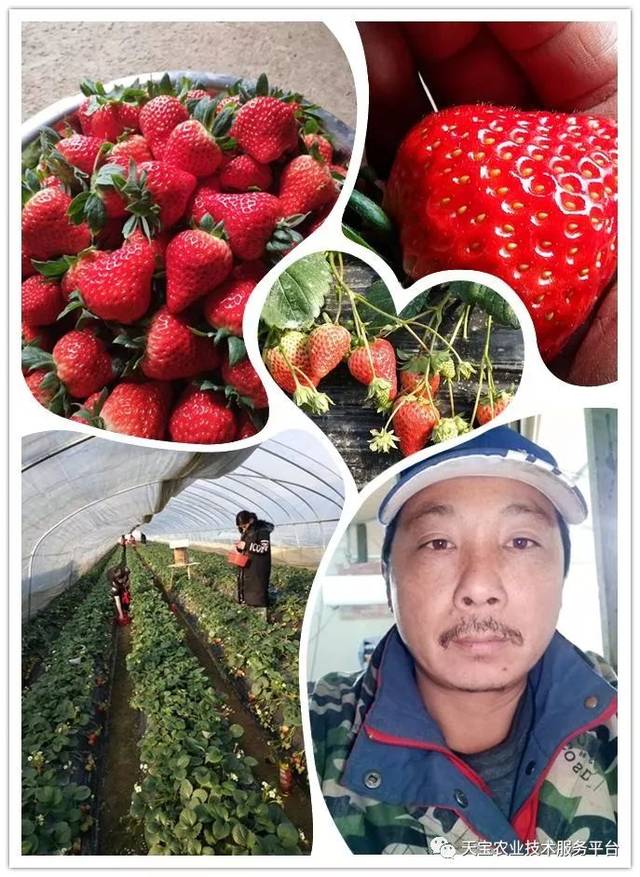 杨氏富硒农产品(生产富硒产品)-硒宝网