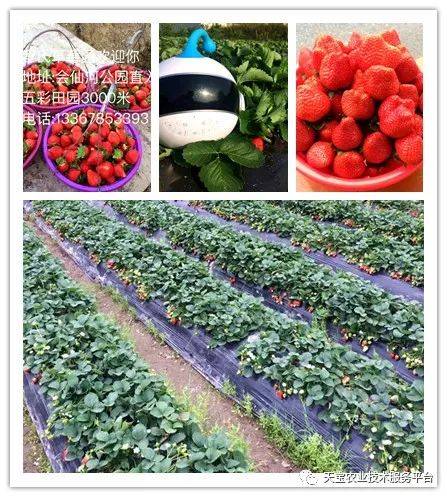 杨氏富硒农产品(生产富硒产品)-硒宝网