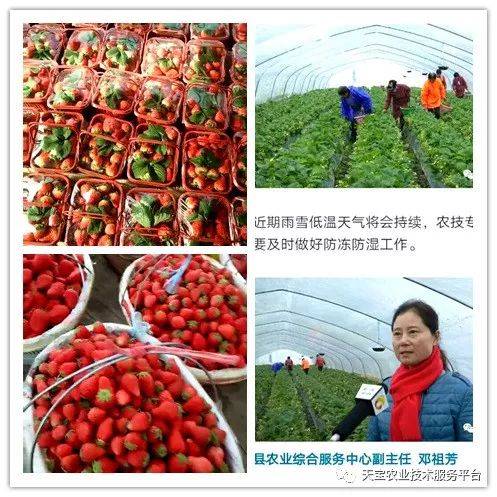 杨氏富硒农产品(生产富硒产品)-硒宝网