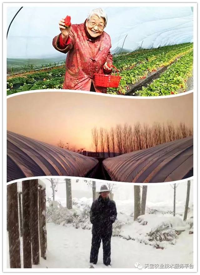 杨氏富硒农产品(生产富硒产品)-硒宝网