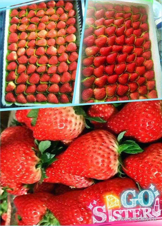 杨氏富硒农产品(生产富硒产品)-硒宝网