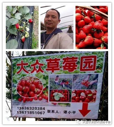 杨氏富硒农产品(生产富硒产品)-硒宝网