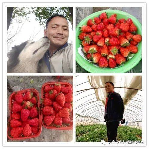 杨氏富硒农产品(生产富硒产品)-硒宝网