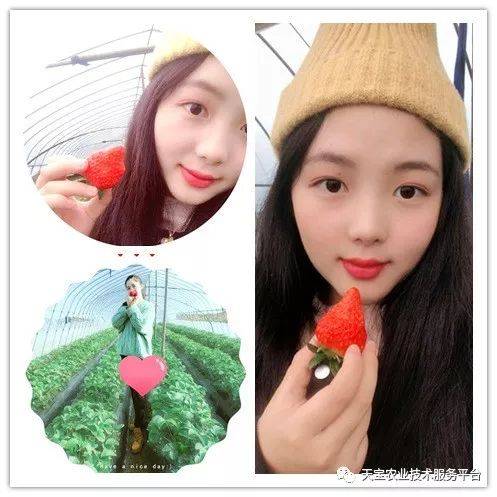 杨氏富硒农产品(生产富硒产品)-硒宝网