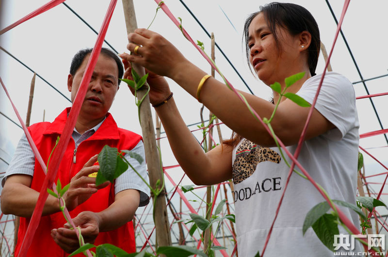于都县富硒产品（于都富硒产业发展中心）-硒宝网