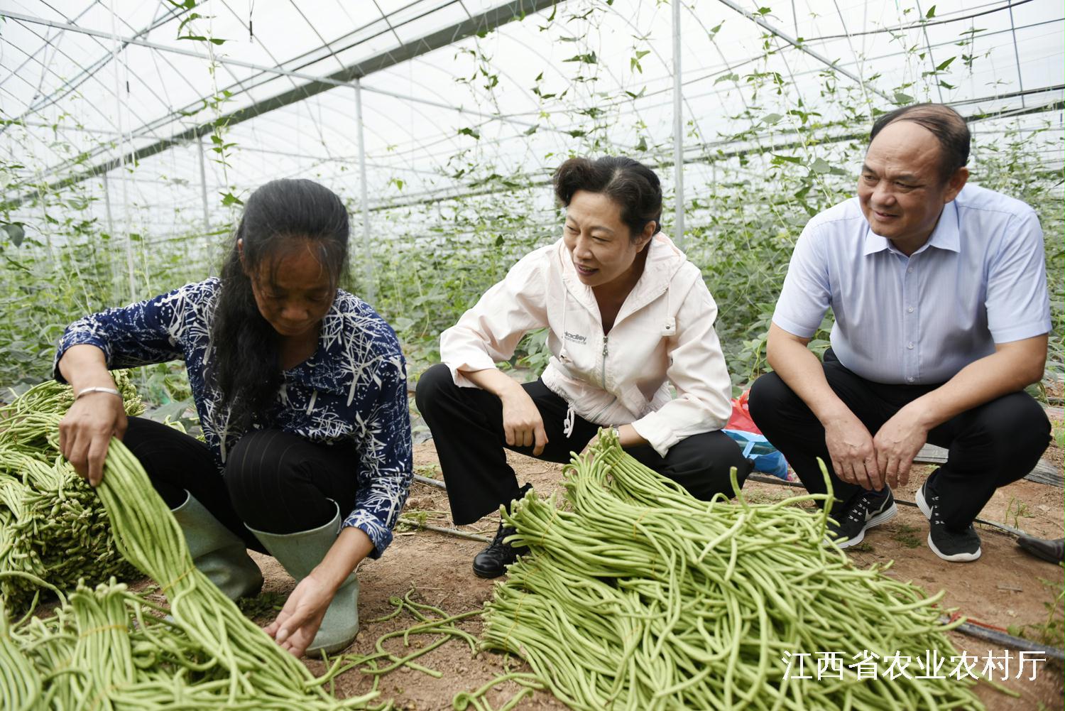 于都县富硒产品（于都富硒产业发展中心）-硒宝网