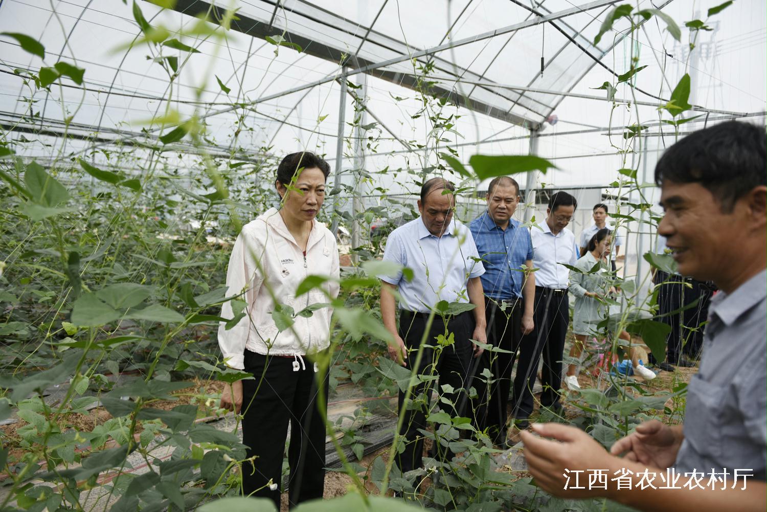 于都县富硒产品（于都富硒产业发展中心）-硒宝网