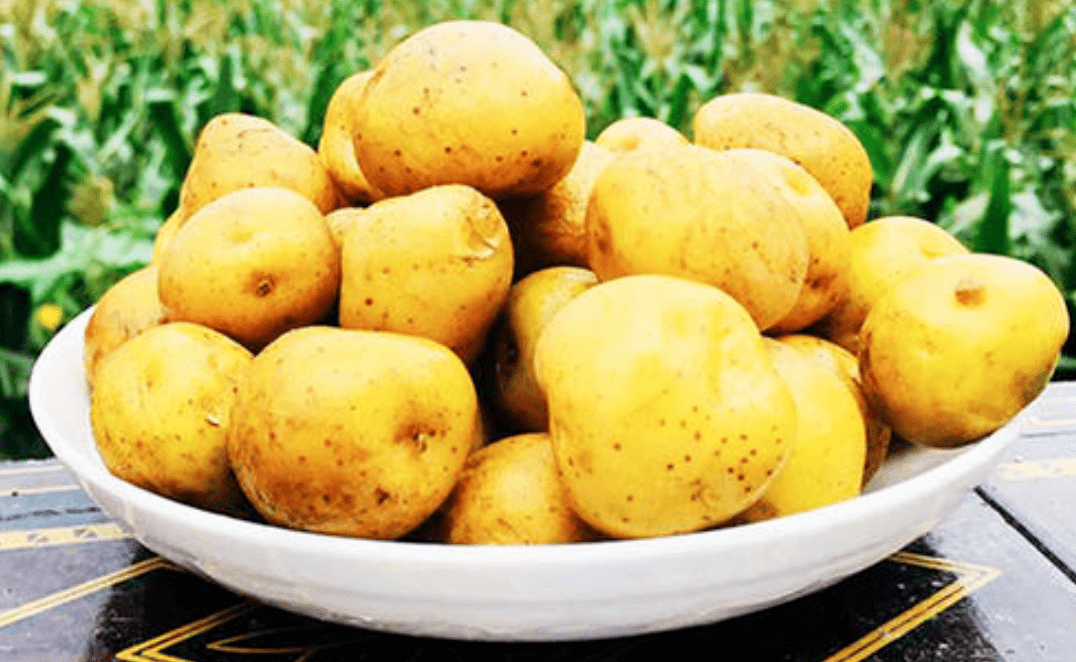 农产品富硒含量(富硒农作物)-硒宝网