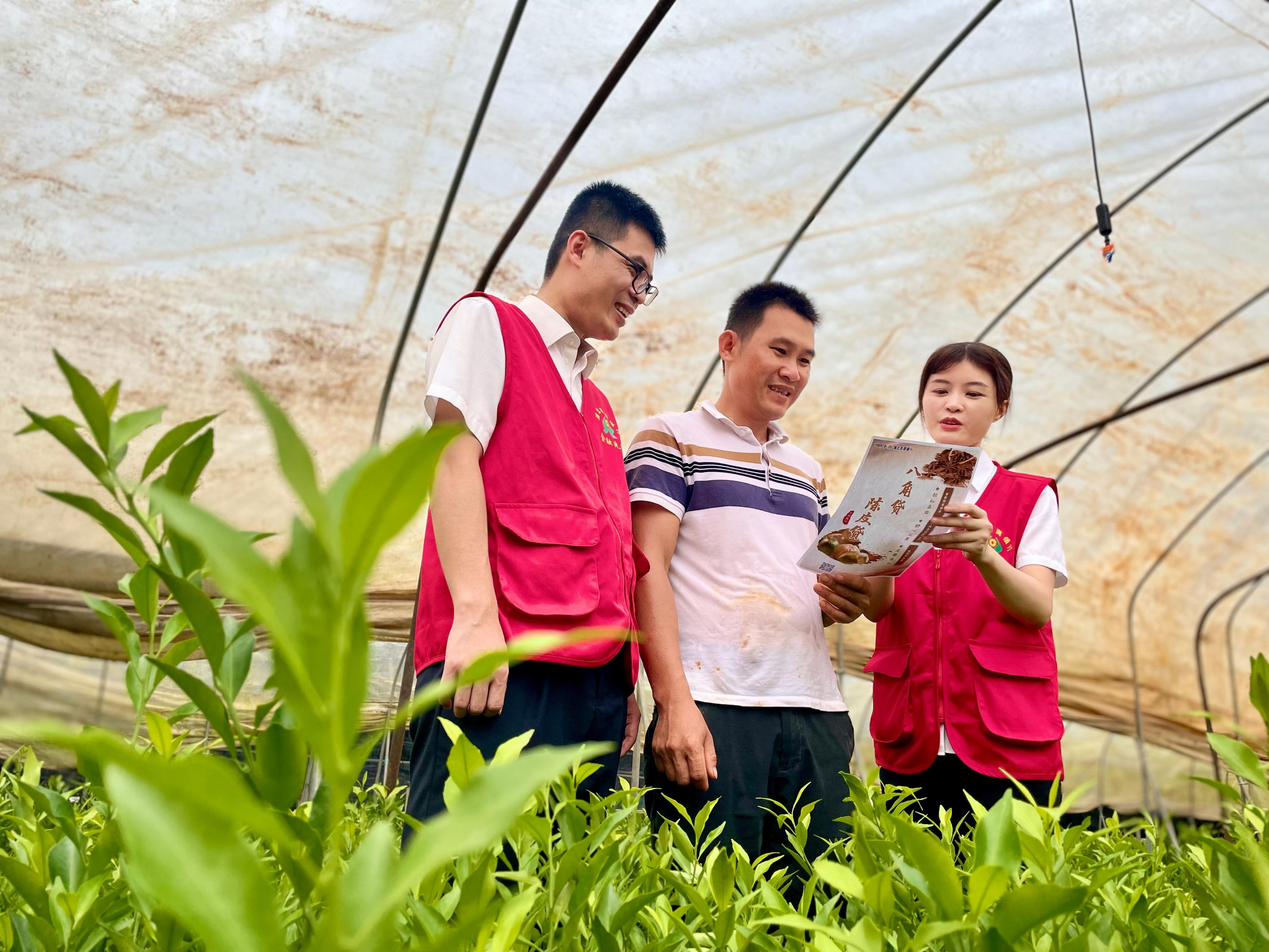 龙门富硒农产品(富硒功能农业)-硒宝网