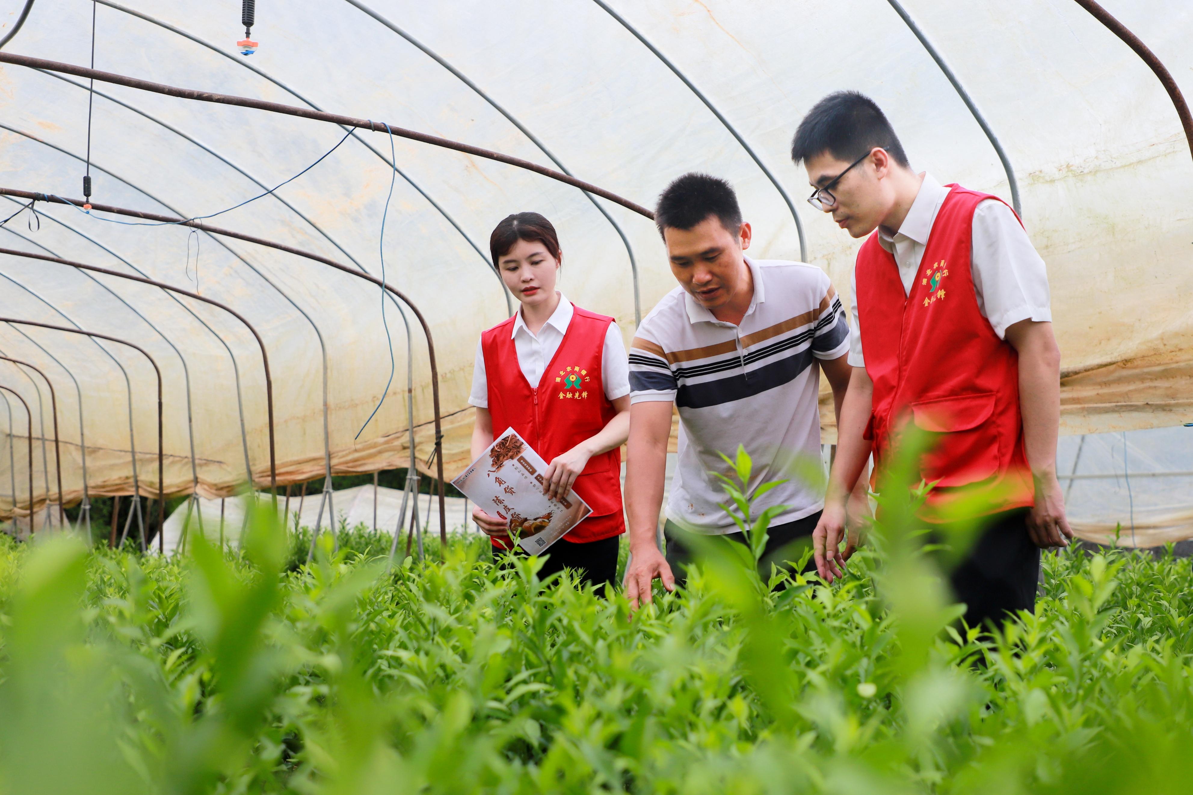 龙门富硒农产品(富硒功能农业)-硒宝网