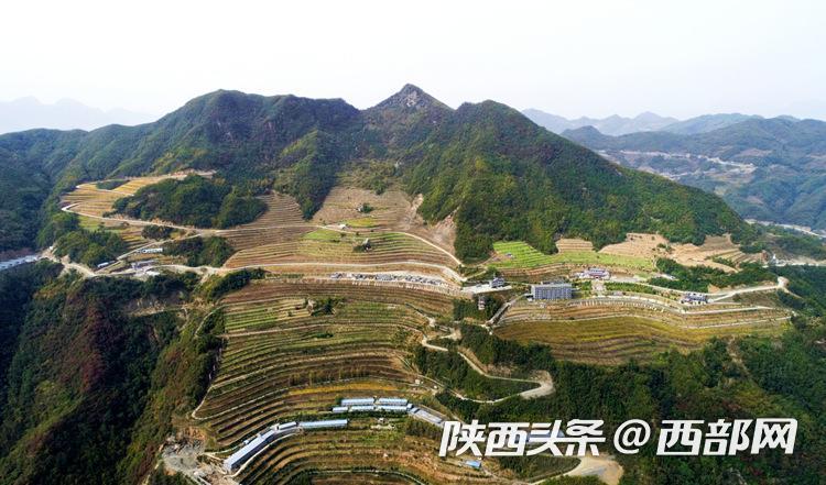 富硒农产品新闻（新闻农富硒产品有哪些）-硒宝网