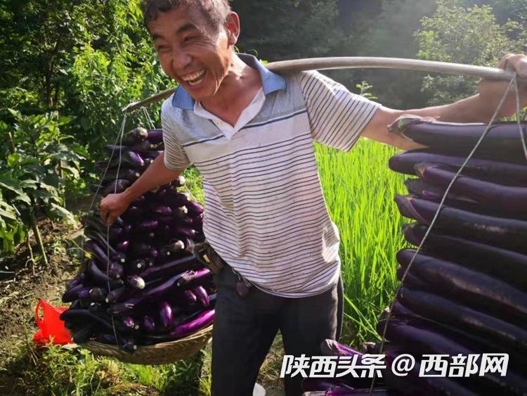 富硒农产品新闻（新闻农富硒产品有哪些）-硒宝网