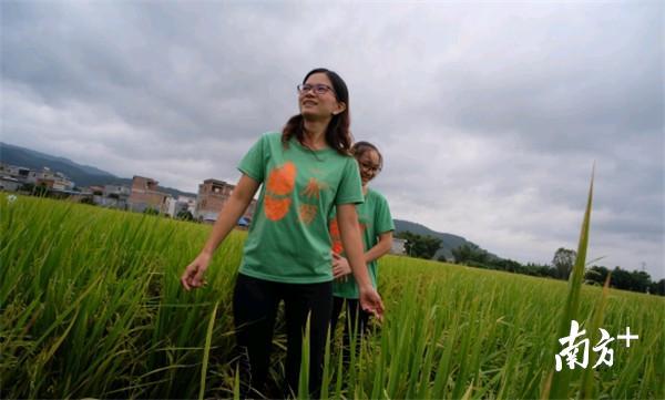 龙门富硒农产品(龙凤富硒米)-硒宝网