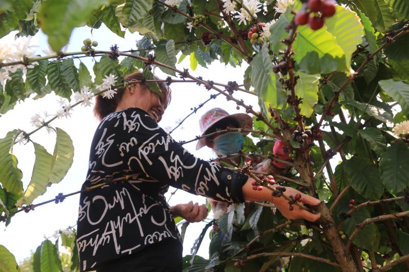 龙门富硒农产品（富硒农场产品）-硒宝网