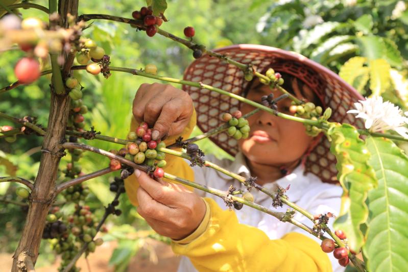 龙门富硒农产品（富硒农场产品）-硒宝网