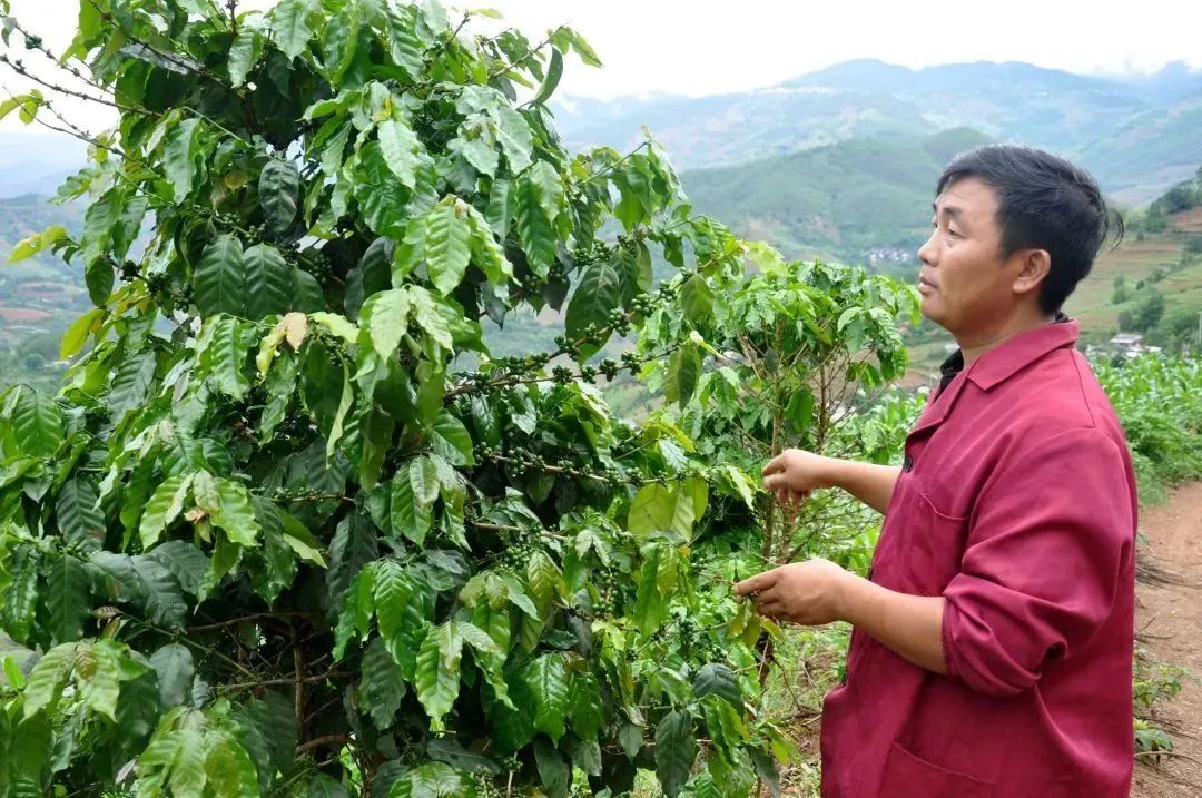 龙门富硒农产品（富硒农场产品）-硒宝网