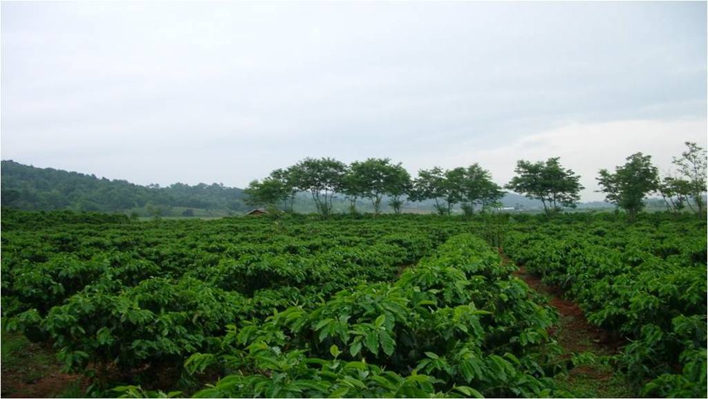 龙门富硒农产品（龙潭富硒大米）-硒宝网