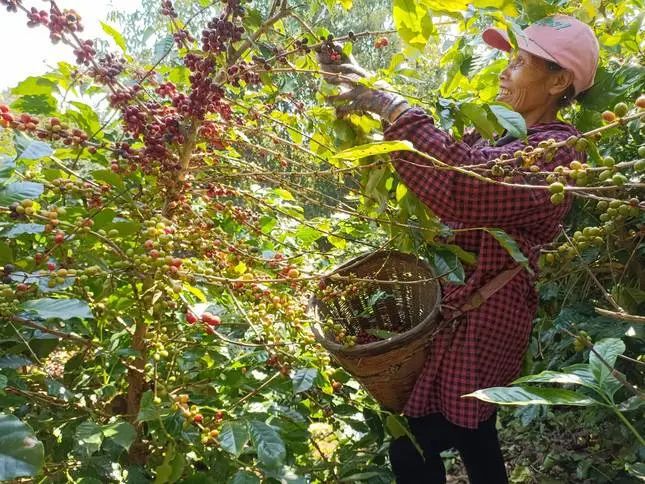 龙门富硒农产品（龙潭富硒大米）-硒宝网