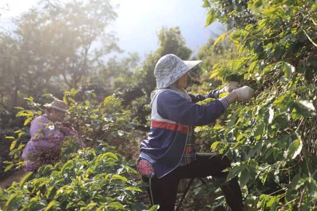 龙门富硒农产品（龙潭富硒大米）-硒宝网