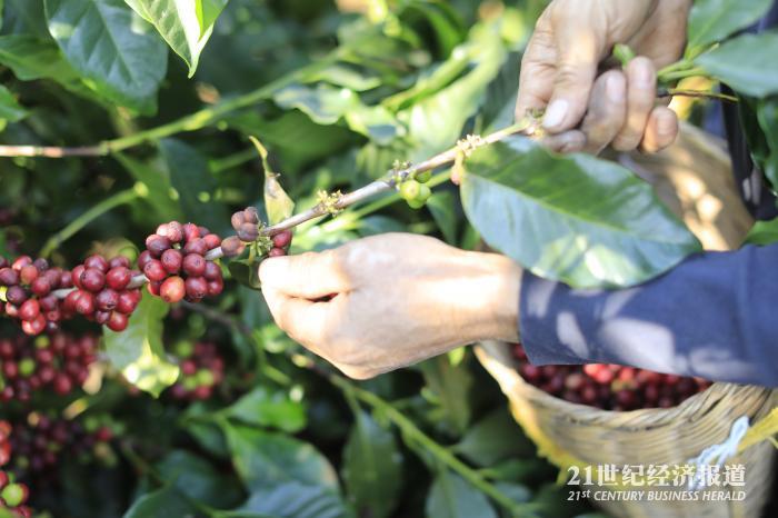 龙门富硒农产品（龙潭富硒大米）-硒宝网